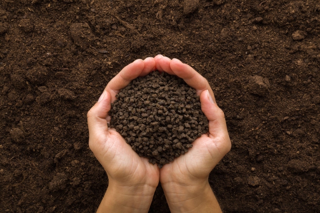 Everything You Need to Know About Cow Manure Pellets